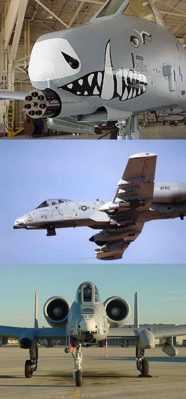 A-10 warthog aircraft noseart