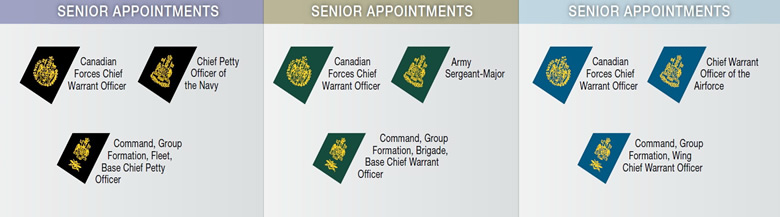 canadian senior appointments military chart