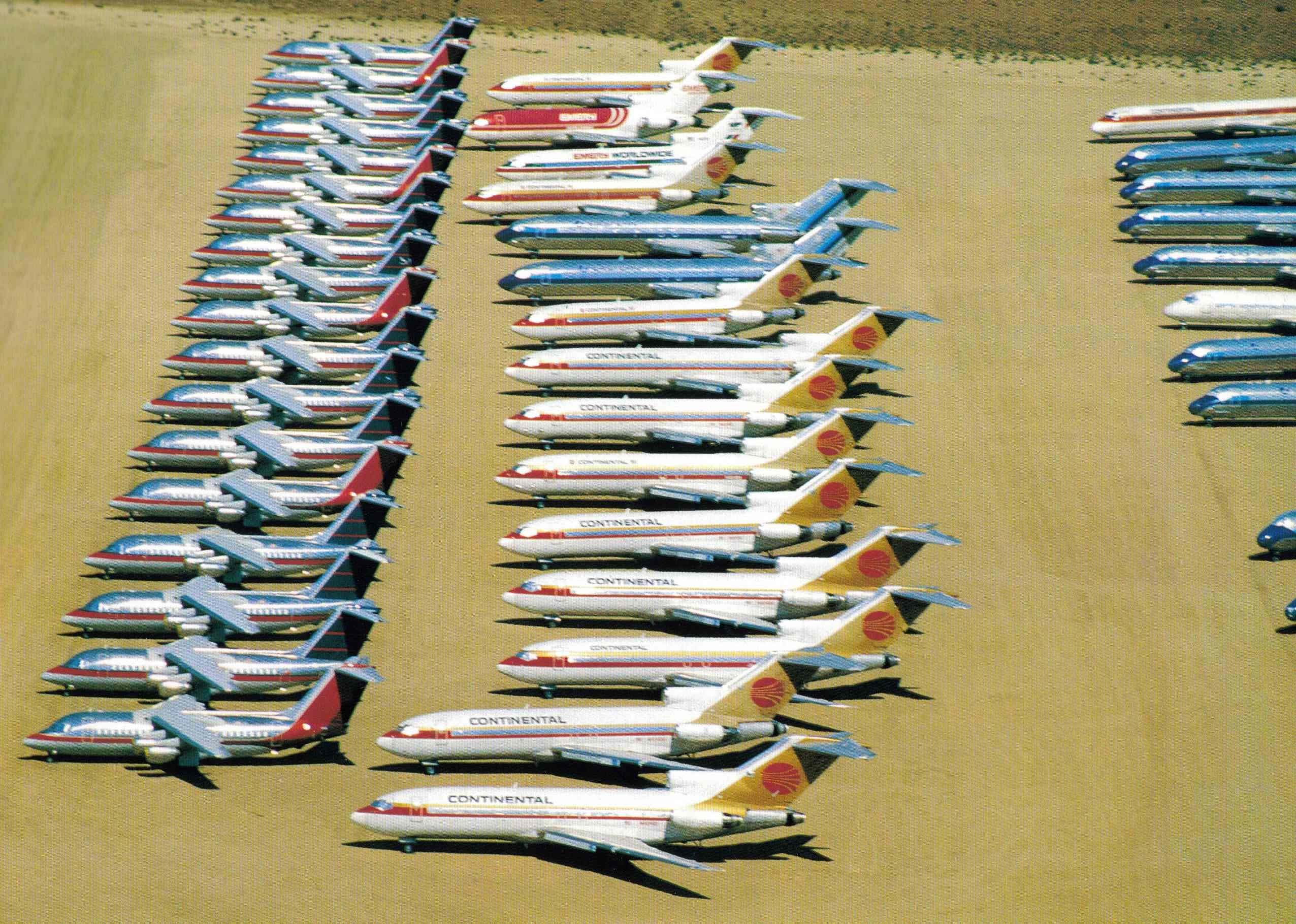 Boneyard_1_jpg.jpg