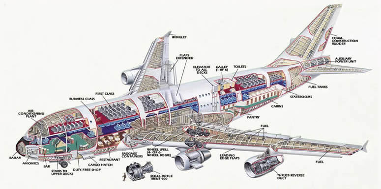Airbus A380 Double Decker Color Schematic