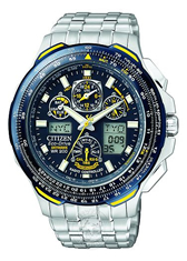 Citizen Blue Angels Watch