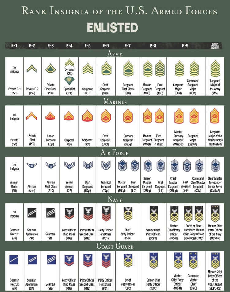 RANK STRUCTURE AND INSIGNIA OF ENLISTED MILITARY PERSONNEL - ALL BRANCHES OF US MILITARY SERVICE