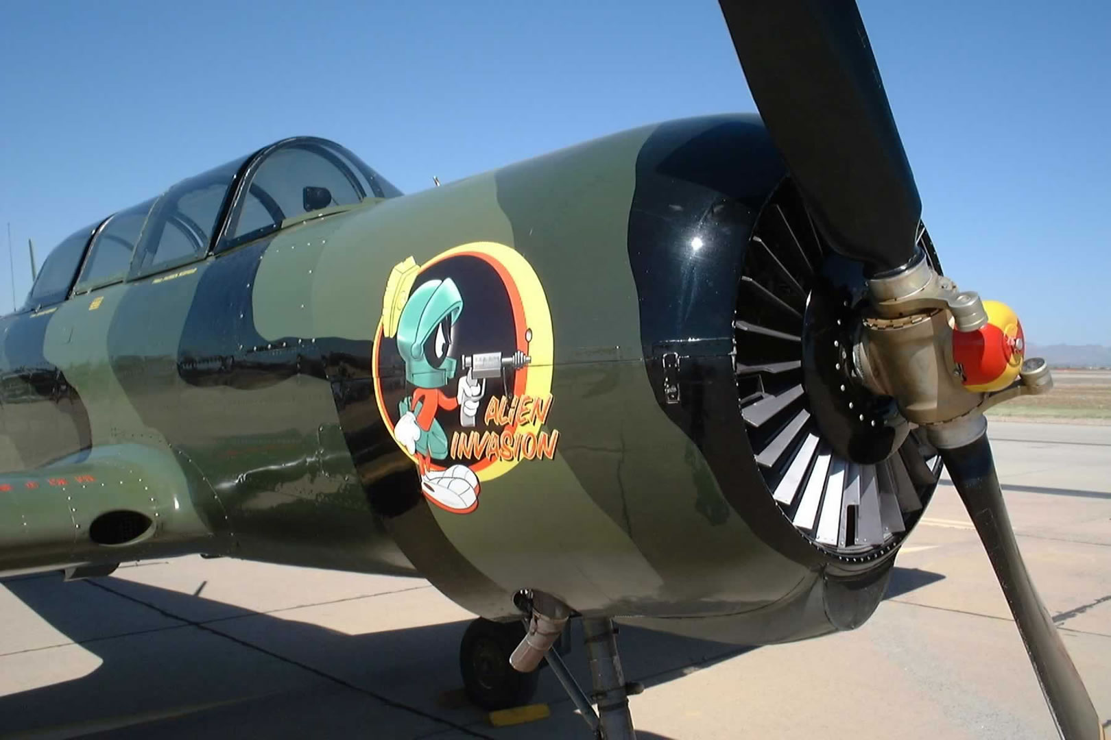 Williams gateway airport airshow display pictures